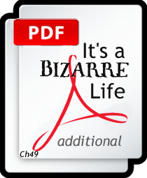 IT’S A BIZARRE LIFE - additional PDF